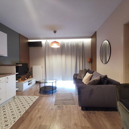 White Swan Apartment 克拉科夫 外观 照片