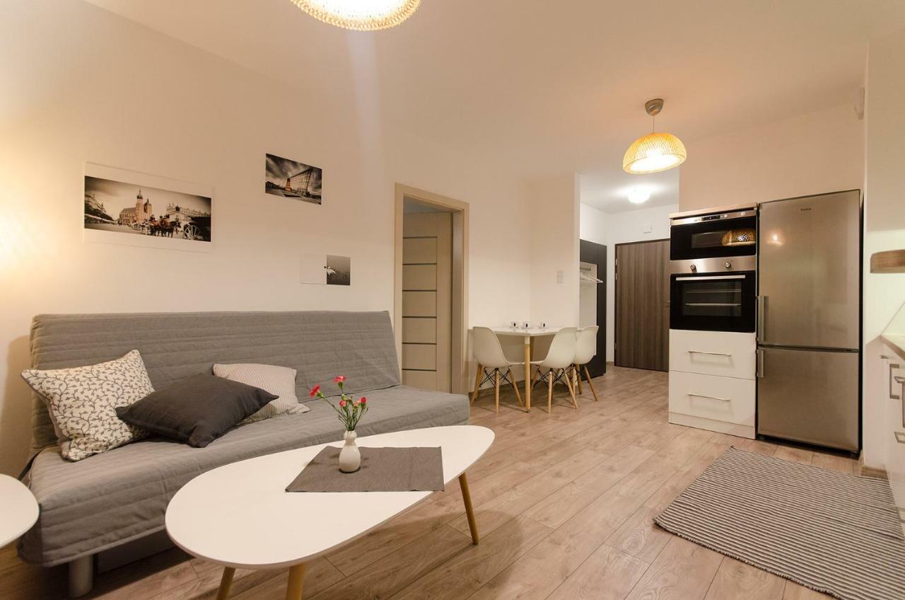 White Swan Apartment 克拉科夫 外观 照片