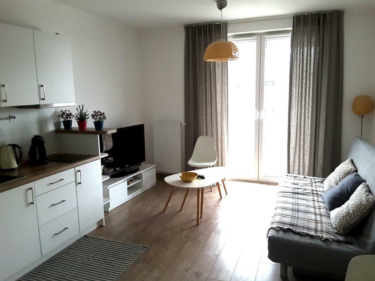 White Swan Apartment 克拉科夫 外观 照片